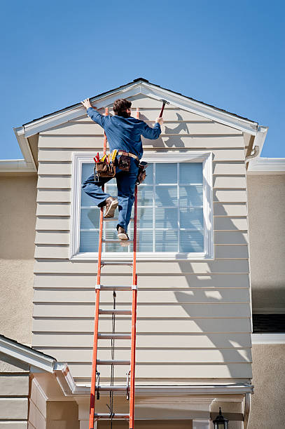 Best Stucco Siding  in La Marque, TX